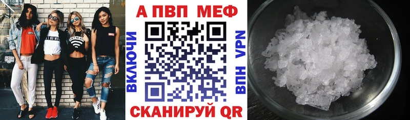 Alfa_PVP СК дарк нет Telegram Магадан