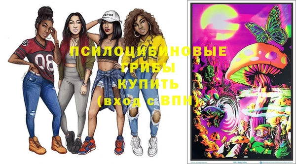 меф Арсеньев