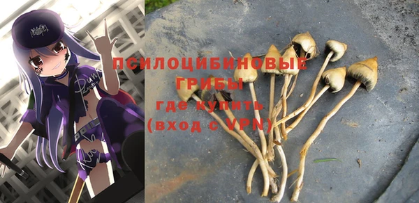 меф Арсеньев