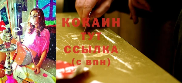 стафф Армянск